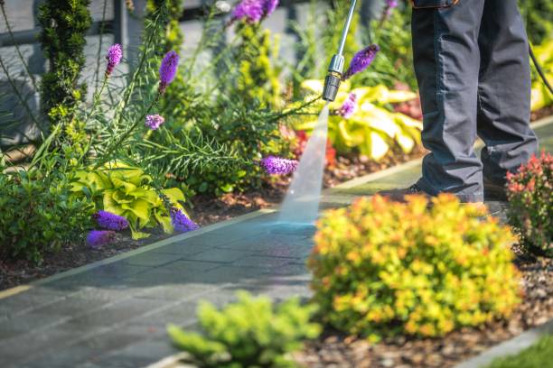 Best Driveway Pressure Washing  in Aust, IN